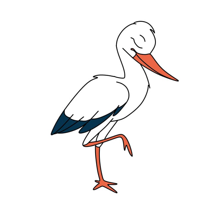 How-to-draw-a-stork-Step-8-4