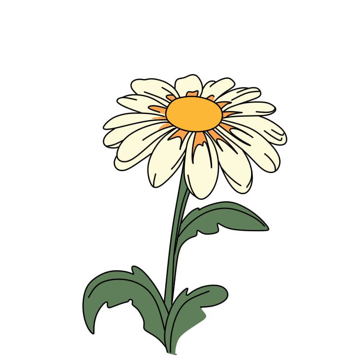 How-to-draw-daisy-Step-7-1